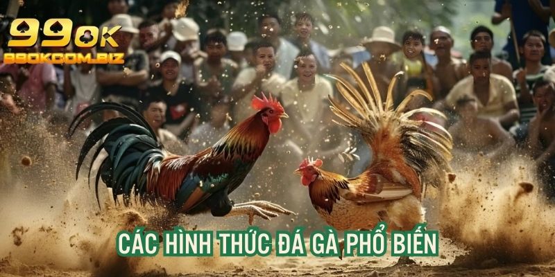 Thông tin 3 hình thức đặt cược hấp dẫn hàng đầu tại link 99OK