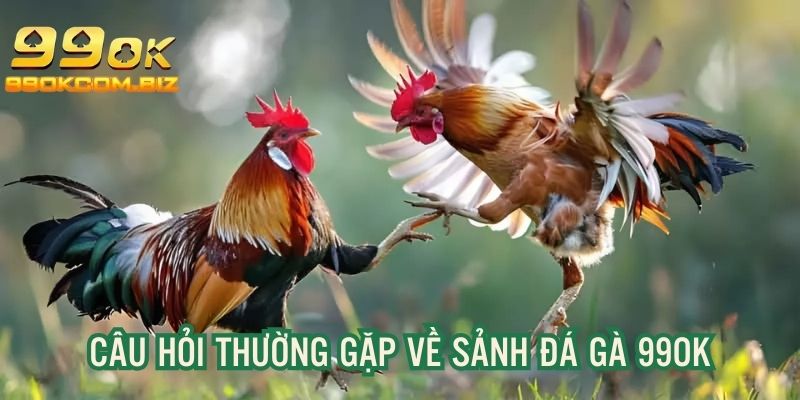 Hướng dẫn đăng ký tài khoản, tham gia cá cược đơn giản