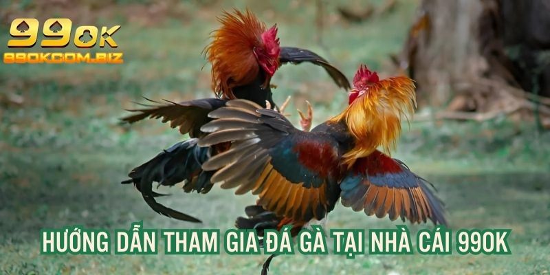 Giải đáp câu hỏi liên quan về chuyên mục chọi kê của nền tảng