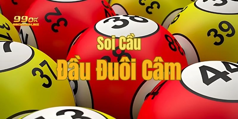 Đánh đầu đuôi câm siêu chính xác cho người chơi đề