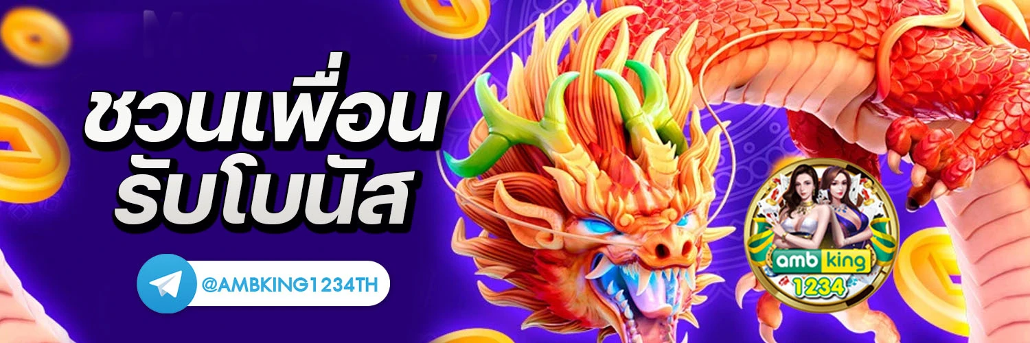 สล้ - แบนเนอร์โปรโมชั่น